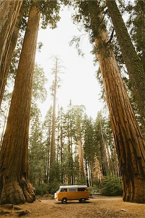 redwood tree - Camper van under sequoia tree, Sequoia National Park, California, USA Stock Photo - Premium Royalty-Free, Code: 649-09158993