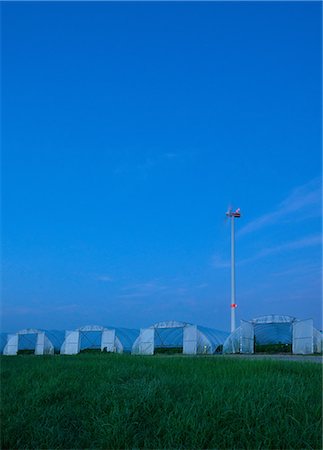 Greenhouses and spinning wind turbine at night, Hoogstraten, Antwerpen, Belgium Stock Photo - Premium Royalty-Free, Code: 649-09159473