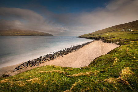 ruhig (windstill) - Grey Seal colony on Great Blasket beach, Blasket Islands, Ireland Stockbilder - Premium RF Lizenzfrei, Bildnummer: 649-09176944