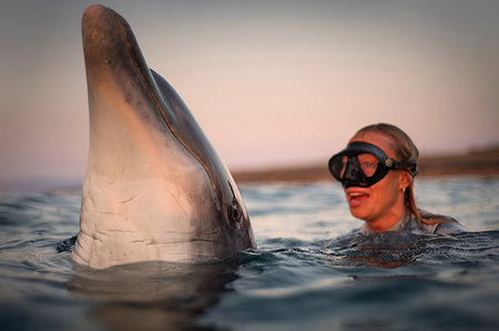 plongée autonome à l'air - Freediver interacts with wild solitary Bottlenose Dolphin Dusty, Doolin, Clare, Ireland Photographie de stock - Premium Libres de Droits, Code: 649-09176956