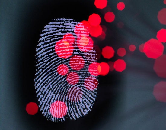 Data infecting a finger print identity on a screen to illustrate hacking and cyber crime Stock Photo - Premium Royalty-Free, Image code: 649-09177098