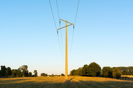 simsearch:649-08563160,k - Power line in field at dusk Stock Photo - Premium Royalty-Free, Code: 649-09177179