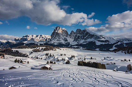 dolomite snow - Seiser Alm, Alpe di Siusi, Dolomites Stock Photo - Premium Royalty-Free, Code: 649-09195697