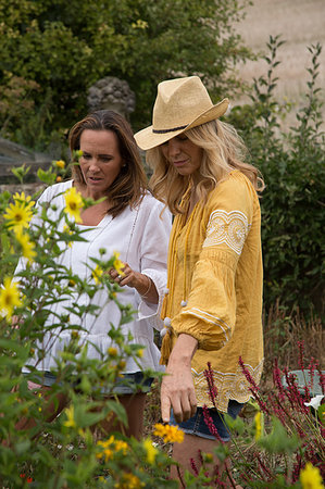 simsearch:649-09212660,k - Women working on garden in countryside Stockbilder - Premium RF Lizenzfrei, Bildnummer: 649-09196464