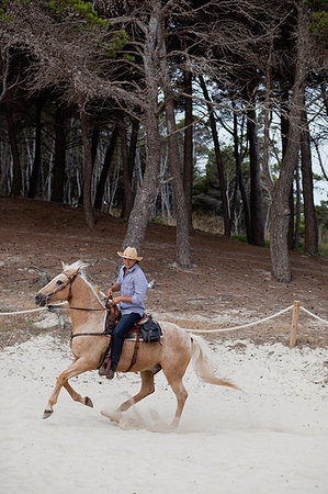 man riding horse Photographie de stock - Premium Libres de Droits, Code: 649-09205635