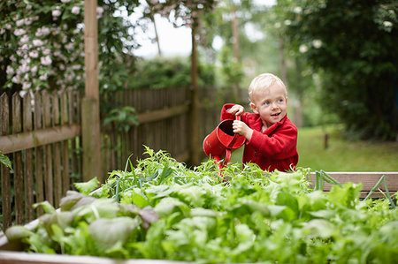 simsearch:649-05801120,k - Toddler boy watering plants in backyard Photographie de stock - Premium Libres de Droits, Code: 649-09205794