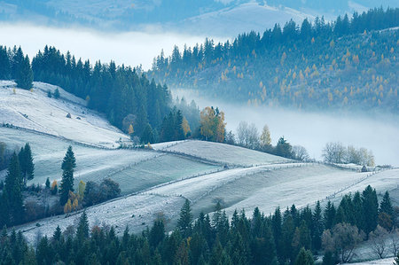 Misty morning, Krasnik village area, Carpathian Mountains, Ivano-Frankivsk region, Ukraine Stock Photo - Premium Royalty-Free, Code: 649-09206935