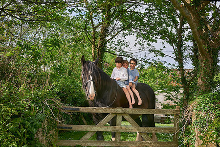 simsearch:614-09057250,k - Portrait of three boys riding horse at field gate Fotografie stock - Premium Royalty-Free, Codice: 649-09208055