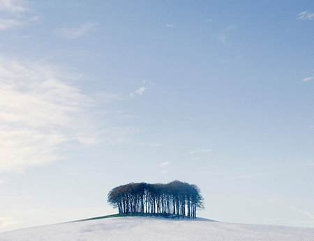 Bare trees on snow covered hill, Devon, England, UK Stock Photo - Premium Royalty-Free, Code: 649-09208618