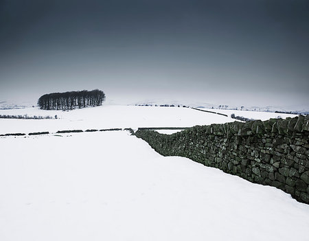 Snow covered landscape with dry stone walls, Forest of Bowland, Lancashire, UK Stock Photo - Premium Royalty-Free, Code: 649-09208623