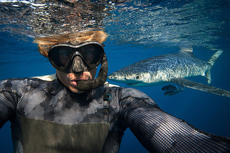 simsearch:614-09211965,k - Diver, blue shark in background, South Cork, Ireland Photographie de stock - Premium Libres de Droits, Code: 649-09208686