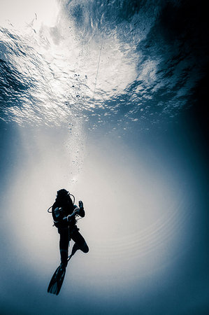 simsearch:649-09208950,k - Scuba diver underwater doing a safety decompression stop, Lombok, Indonesia Fotografie stock - Premium Royalty-Free, Codice: 649-09208955