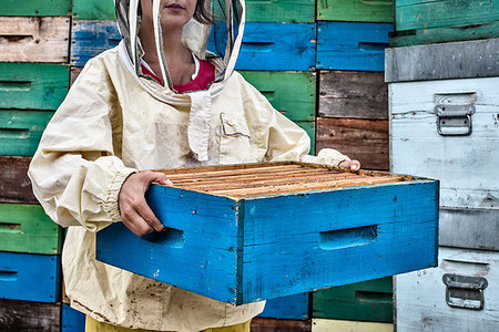 simsearch:614-08826897,k - Mid adult woman wearing beekeper dress holding hive, mid section Stock Photo - Premium Royalty-Free, Code: 649-09209184
