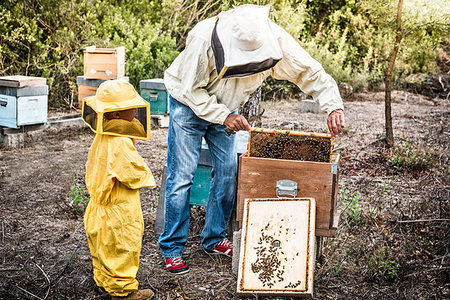 Beekeeper holding honeycomb while his son watches on Stock Photo - Premium Royalty-Free, Code: 649-09209188