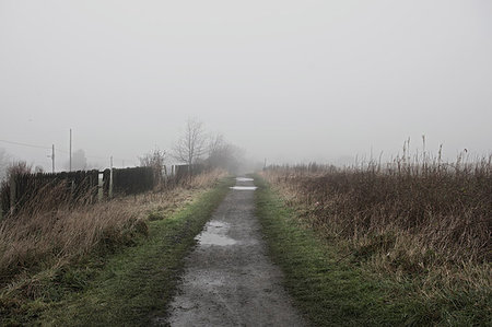 durham - Misty countryside landscape Foto de stock - Sin royalties Premium, Código: 649-09209557