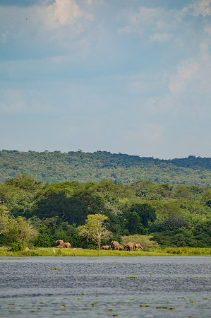 River Nile, Murchison Falls National Park, Uganda Stock Photo - Premium Royalty-Free, Code: 649-09213218