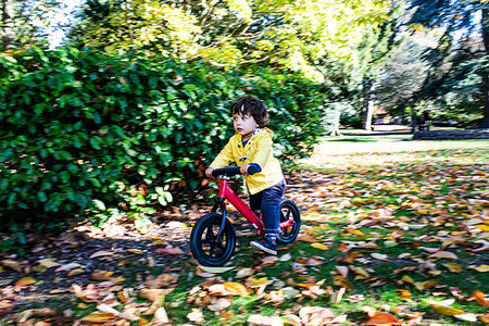simsearch:649-08307448,k - Toddler cycling in park Foto de stock - Royalty Free Premium, Número: 649-09213504