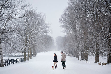 Young couple walking dog in snow covered forest, rear view, Ontario, Canada Foto de stock - Sin royalties Premium, Código: 649-09213684