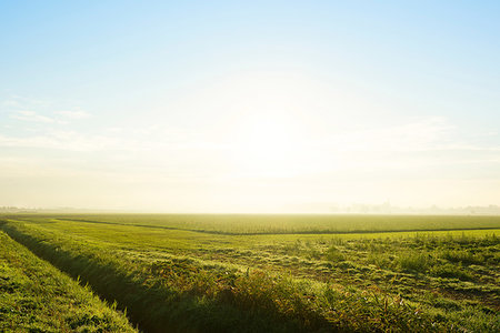 simsearch:649-09258464,k - Flat green field landscape with ditch at sunrise, Netherlands Foto de stock - Royalty Free Premium, Número: 649-09230109