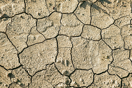 fango arido - Dry cracked earth Fotografie stock - Premium Royalty-Free, Codice: 649-09245735