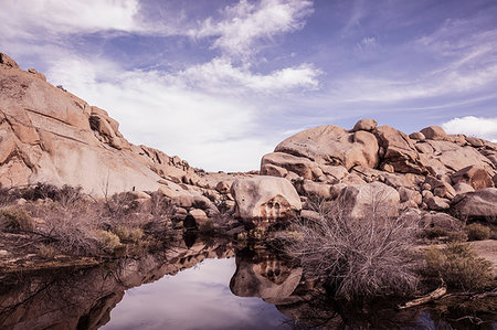 desert environmental concerns - Rock formations and standing water, Joshua Tree, California, USA Stock Photo - Premium Royalty-Free, Code: 649-09245897