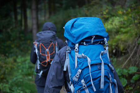 simsearch:649-09182370,k - Young hiking couple hiking through forest with backpacks, rear view, Manigod, Rhone-Alpes, France Foto de stock - Sin royalties Premium, Código: 649-09245924