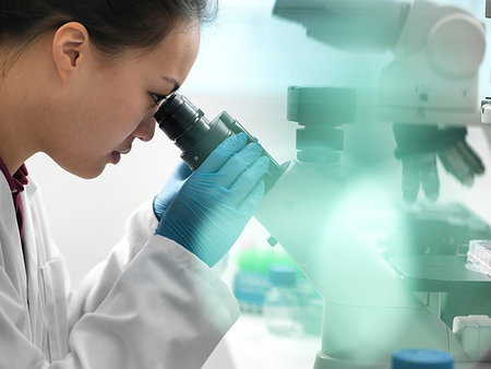 simsearch:649-09149466,k - Scientist viewing sample through microscope during experiment in laboratory Stock Photo - Premium Royalty-Free, Code: 649-09246050