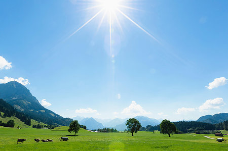 simsearch:6119-09252818,k - Sunny day in countryside, Sonthofen, Bayern, Germany Photographie de stock - Premium Libres de Droits, Code: 649-09246324