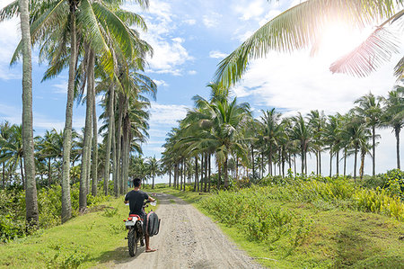 single coconut tree picture - Motorcyclist with surfboard, Abulug, Cagayan, Philippines Stock Photo - Premium Royalty-Free, Code: 649-09246801
