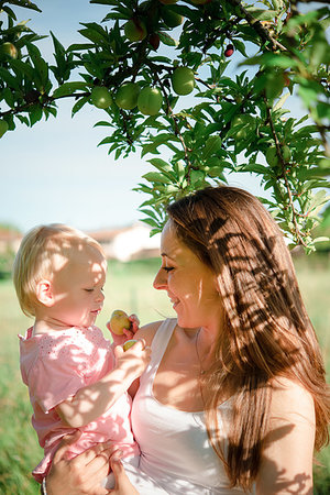 simsearch:614-06897874,k - Mother gazing at toddler daughter under fruit tree, Arezzo, Tuscany, Italy Photographie de stock - Premium Libres de Droits, Code: 649-09258028