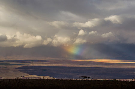 simsearch:649-07596647,k - Landscape with storm clouds and rainbow light beams, Ngorongoro Crater, Ngorongoro Conservation Area, Tanzania Foto de stock - Sin royalties Premium, Código: 649-09250351