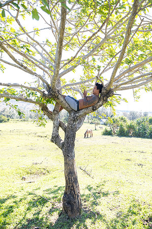 Man using smartphone on tree, Pagudpud, Ilocos Norte, Philippines Stock Photo - Premium Royalty-Free, Code: 649-09251352