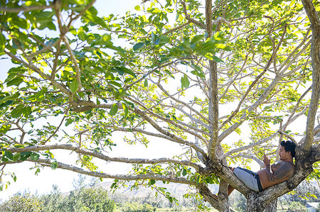 Man using smartphone on tree, Pagudpud, Ilocos Norte, Philippines Photographie de stock - Premium Libres de Droits, Code: 649-09251353