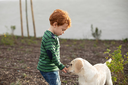 simsearch:649-09251433,k - Boy giving pet puppy training treat Photographie de stock - Premium Libres de Droits, Code: 649-09251422