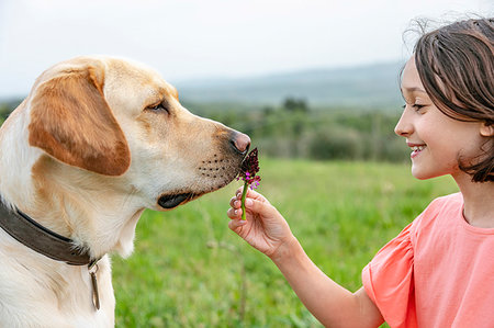 simsearch:649-09035543,k - Girl holding flower to with labrador dog's nose in field landscape, Citta della Pieve, Umbria, Italy Fotografie stock - Premium Royalty-Free, Codice: 649-09269160