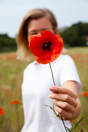 simsearch:649-06489153,k - Young woman holding poppy in front of her face, in field of poppies, shallow focus Foto de stock - Sin royalties Premium, Código: 649-09276170