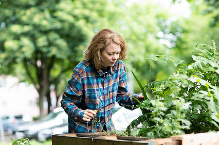 simsearch:649-09276174,k - Mid adult woman tending plant in her garden Photographie de stock - Premium Libres de Droits, Code: 649-09276184