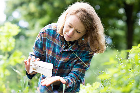 simsearch:649-09276174,k - Mid adult woman selecting seeds to plant in her garden Photographie de stock - Premium Libres de Droits, Code: 649-09276183