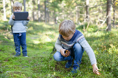 simsearch:649-07596715,k - Toddler taking photograph of brother picking up wild mushrooms in forest Stock Photo - Premium Royalty-Free, Code: 649-09277396