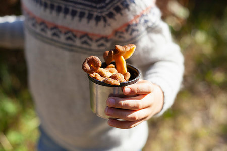 Boy with cup of wild mushrooms in forest, craterellus tubaeformis Stock Photo - Premium Royalty-Free, Code: 649-09277391