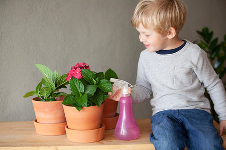 simsearch:649-09276174,k - Toddler watering potted flower in indoor garden Photographie de stock - Premium Libres de Droits, Code: 649-09277481