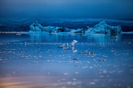 simsearch:649-08085948,k - Melting ice floating, Jokulsarlon Lagoon, Iceland Photographie de stock - Premium Libres de Droits, Code: 649-09277504