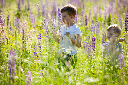 simsearch:614-09038774,k - Brothers exploring and playing in meadows Stockbilder - Premium RF Lizenzfrei, Bildnummer: 649-09277620
