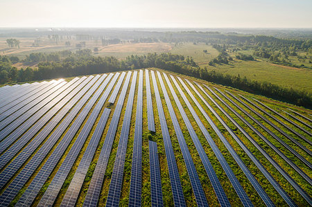 simsearch:649-09277678,k - Large solar farms, Andijk, Noord-Holland, Netherlands Foto de stock - Sin royalties Premium, Código: 649-09277686