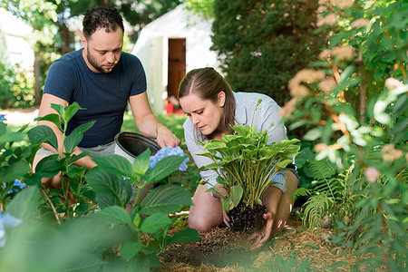 simsearch:614-06896586,k - Couple gardening in backyard Stockbilder - Premium RF Lizenzfrei, Bildnummer: 649-09277732