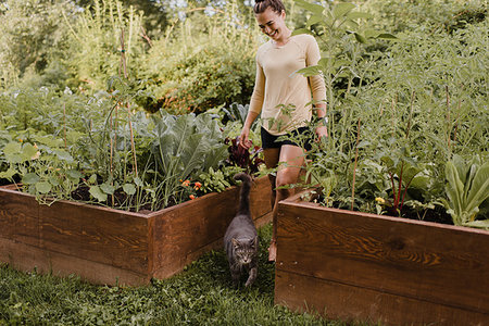 simsearch:649-09276174,k - Woman gardener with cat in garden Photographie de stock - Premium Libres de Droits, Code: 649-09278073