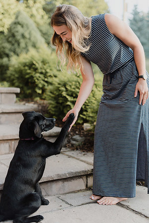 dog shake hand - Woman shaking paws with pet dog Stock Photo - Premium Royalty-Free, Code: 649-09278084