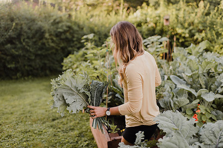 simsearch:6118-08729268,k - Woman tending to plants and vegetables in garden Photographie de stock - Premium Libres de Droits, Code: 649-09278086