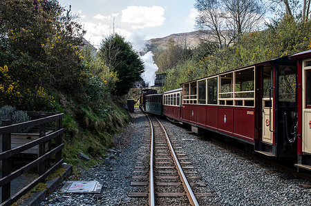 simsearch:400-07429824,k - Steam train passing through countryside, Llanaber, Gwynedd, United Kingdom Stock Photo - Premium Royalty-Free, Code: 649-09278304