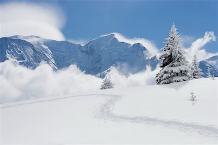 Footprints through fresh snow Stock Photo - Premium Royalty-Free, Code: 649-02290265